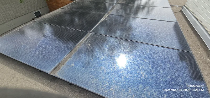 Close-up of residential solar panels during a surface-condition inspection